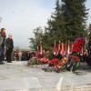 cvibelj_36.jpg
