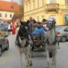 img_5276_24_1_000.jpg