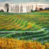 izleti 18 jeruzalemske gorice IMG_1636sm OB.jpg