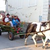 img_0010_000.jpg