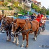 img_0009.jpg