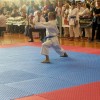 _zzzzkarate__27_.jpg