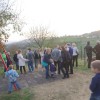 rastlinska_024.jpg