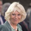 camilla 1 profi.jpg