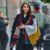 ponco-Alexa Chung.jpg
