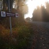 dsc_0103_000.jpg