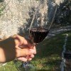 vino.png
