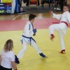 _zzzzjudo__12_.jpg