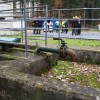 img_7964.jpg