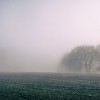 ca7d368c4a851d1d61dd3eae0979bb9f.jpeg