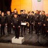 bpu_dv3137.jpg