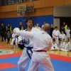 _zzzzkarate__11_.jpg