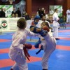 _zzzzkarate__15_.jpg