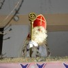 dsc_0026_000.jpg