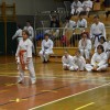 _zzzzkarate__18_.jpg