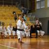 _zzzzkarate__28_.jpg