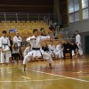 _zzzzkarate__29_.jpg