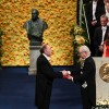 nobel 1 profi.jpg