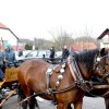 img_9407_000.jpg