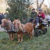 _zzblagoslov__05_.jpg