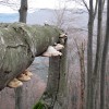 _zmackov__06_.jpg