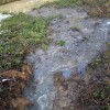 img_0025.jpg