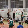 img_0215.jpg