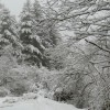 img_7434_3_1_000.jpg