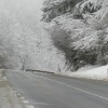 img_7440_9_1_000.jpg