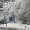 img_7438_7_1_000.jpg