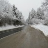 img_7432_1_1_000.jpg