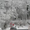 img_7448_17_1_000.jpg