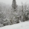 img_7435_4_1_000.jpg