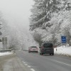 img_7436_5_1_000.jpg