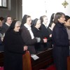 redovi_009.jpg