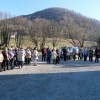 kork_senovo11.jpg