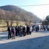 kork_senovo08.jpg