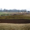 img_3893.jpg