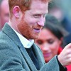 harry.jpg
