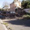 rim, veter, podrta drevesa.jpg