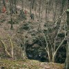 240219_1218__dsc0710.jpg