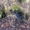 img_8207_14_1_000.jpg