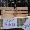 pohod15.jpg