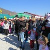 img_8384_29_1_000.jpg
