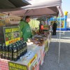 img_8351_3_1_000.jpg