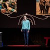 tedxkrsko2019_33.jpg