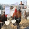 img_2747.jpg