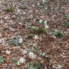 dsc02777_000.jpg
