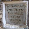 dsc02767_000.jpg