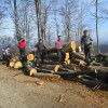 img_3523_000.jpg